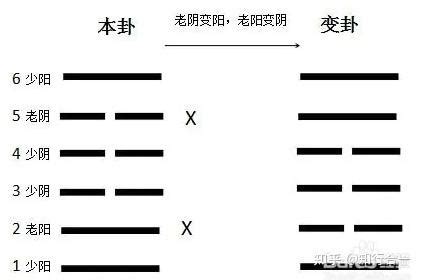 卜卦是什麼|易经